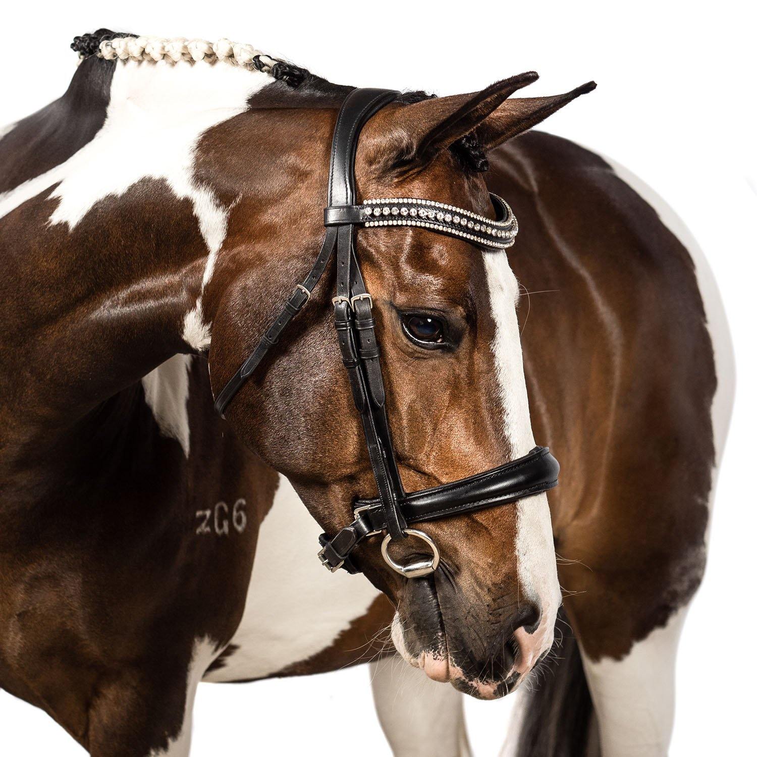 Premium Black Snaffle Bridle ‘Valkyrie’