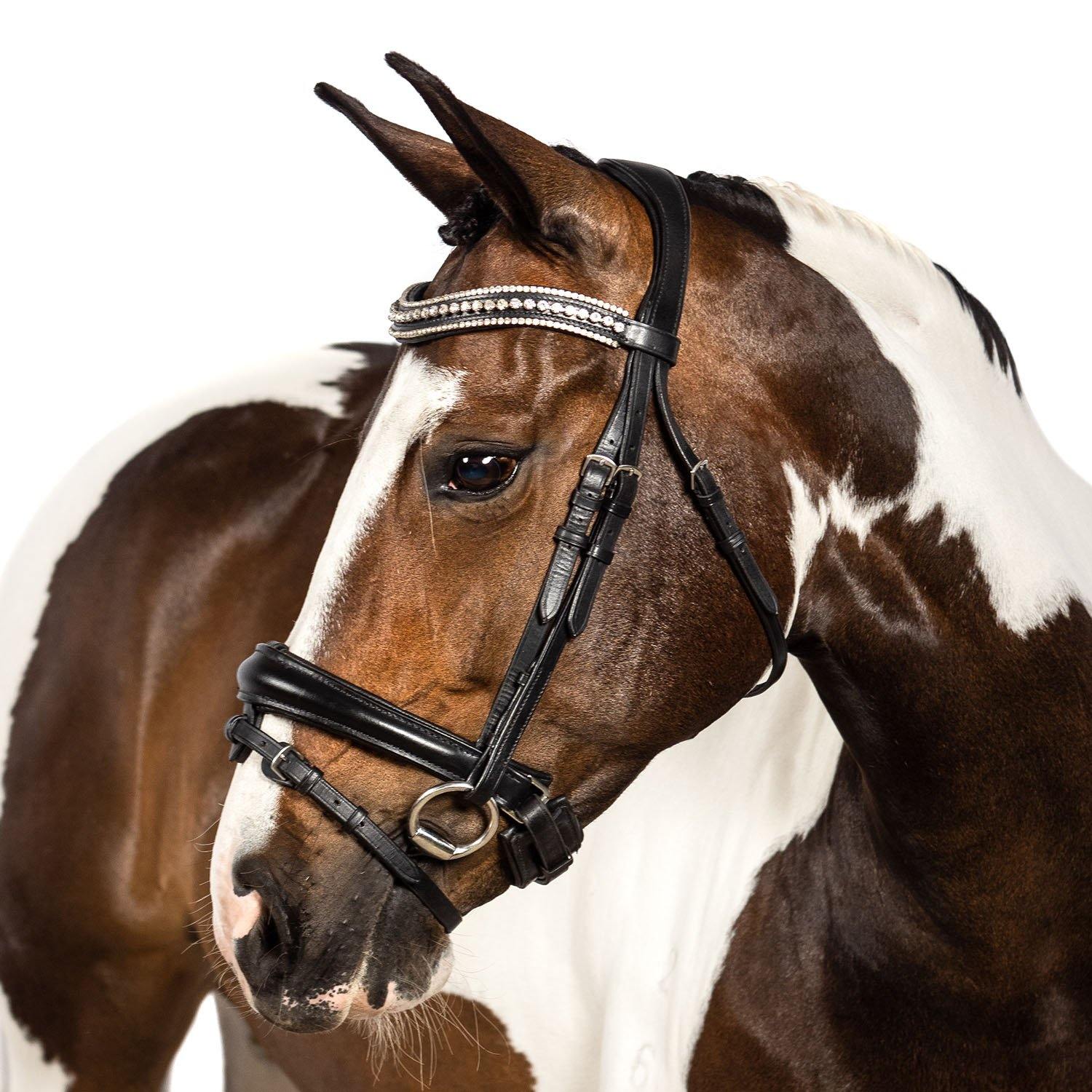 Premium Black Snaffle Bridle ‘Valkyrie’