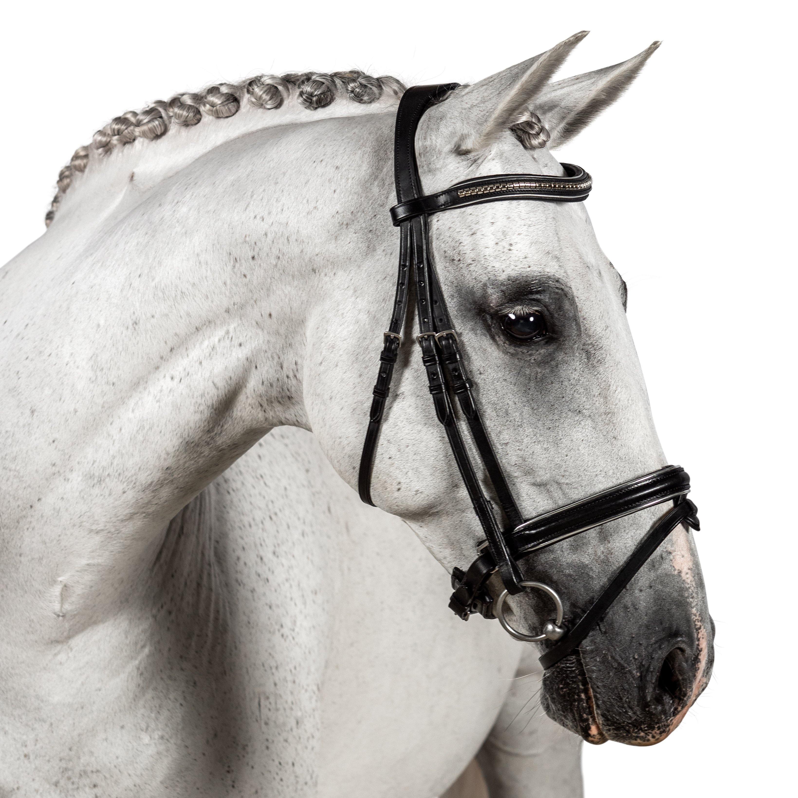 Premium Black Snaffle Bridle ‘Zenith’