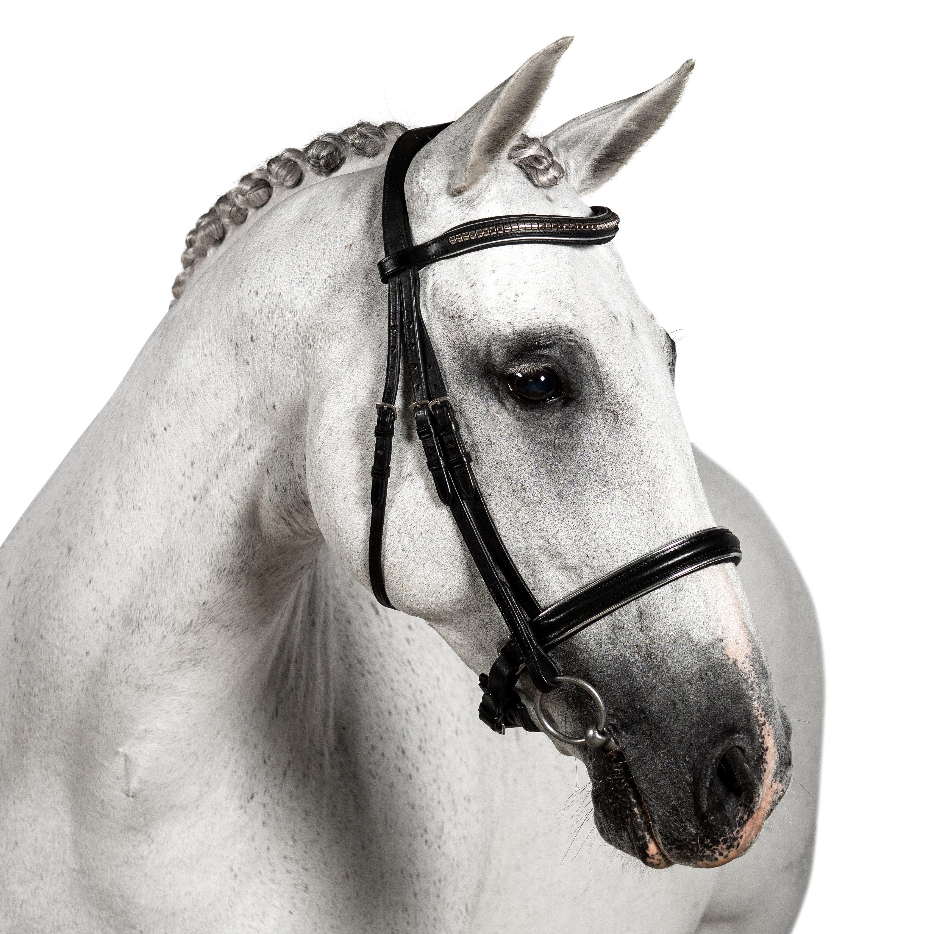 Premium Black Snaffle Bridle ‘Zenith’