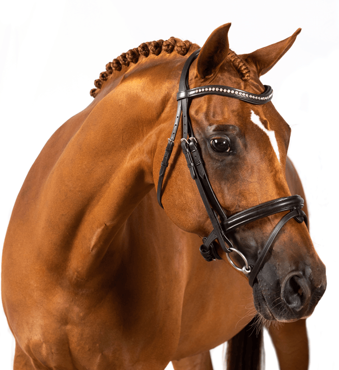 Premium Havana Snaffle Bridle ‘Riley’