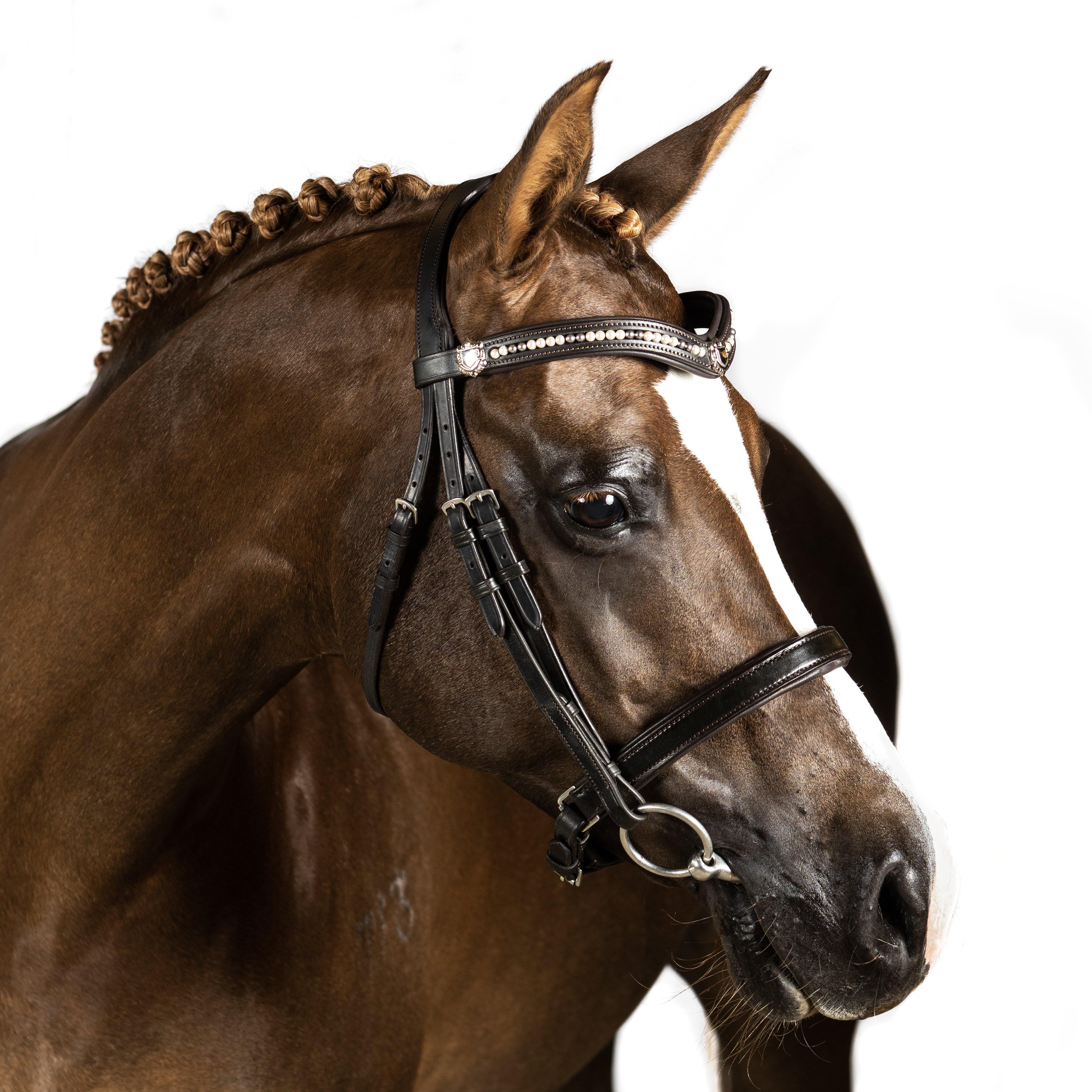 Premium Havana Snaffle Bridle ‘Triton’