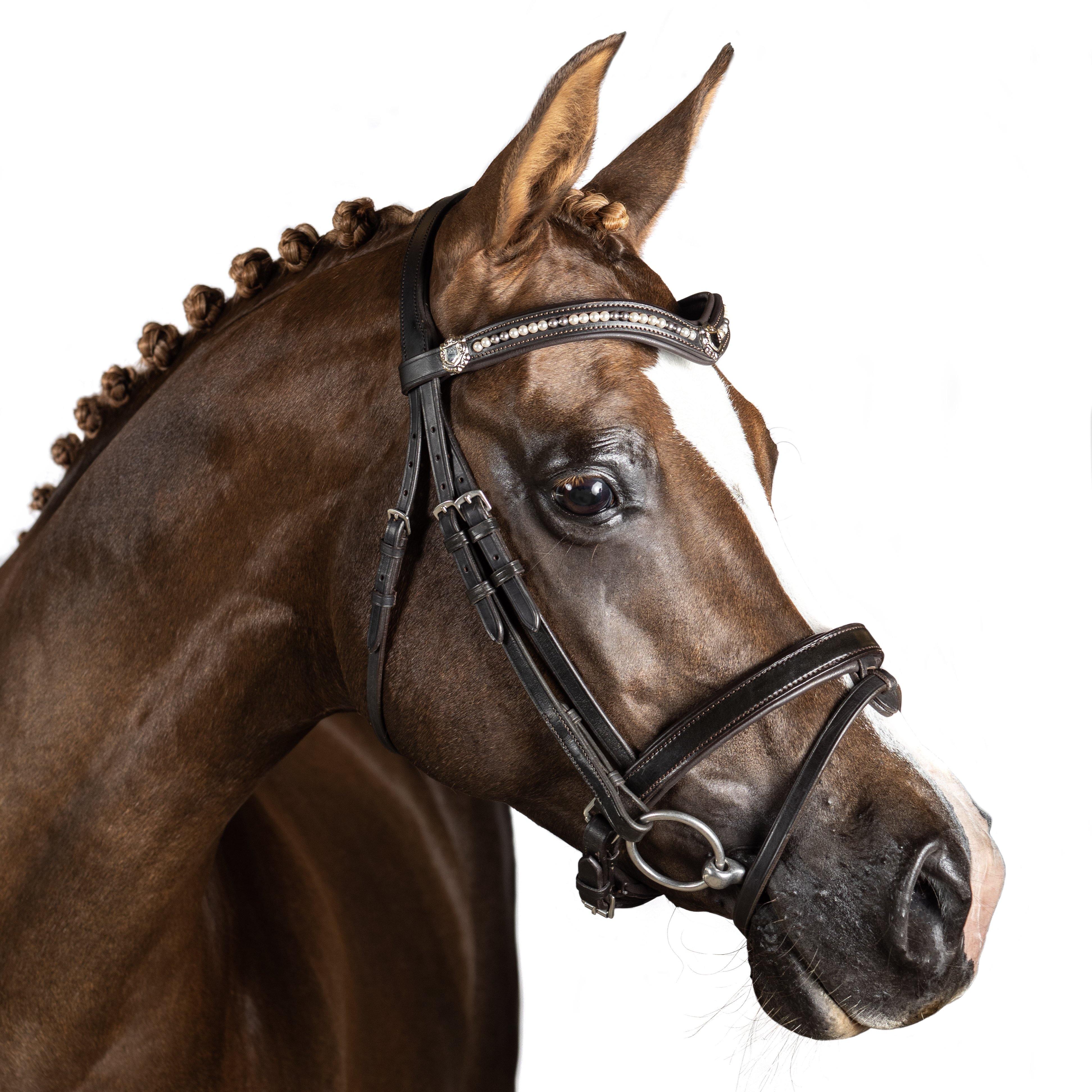Premium Havana Snaffle Bridle ‘Triton’