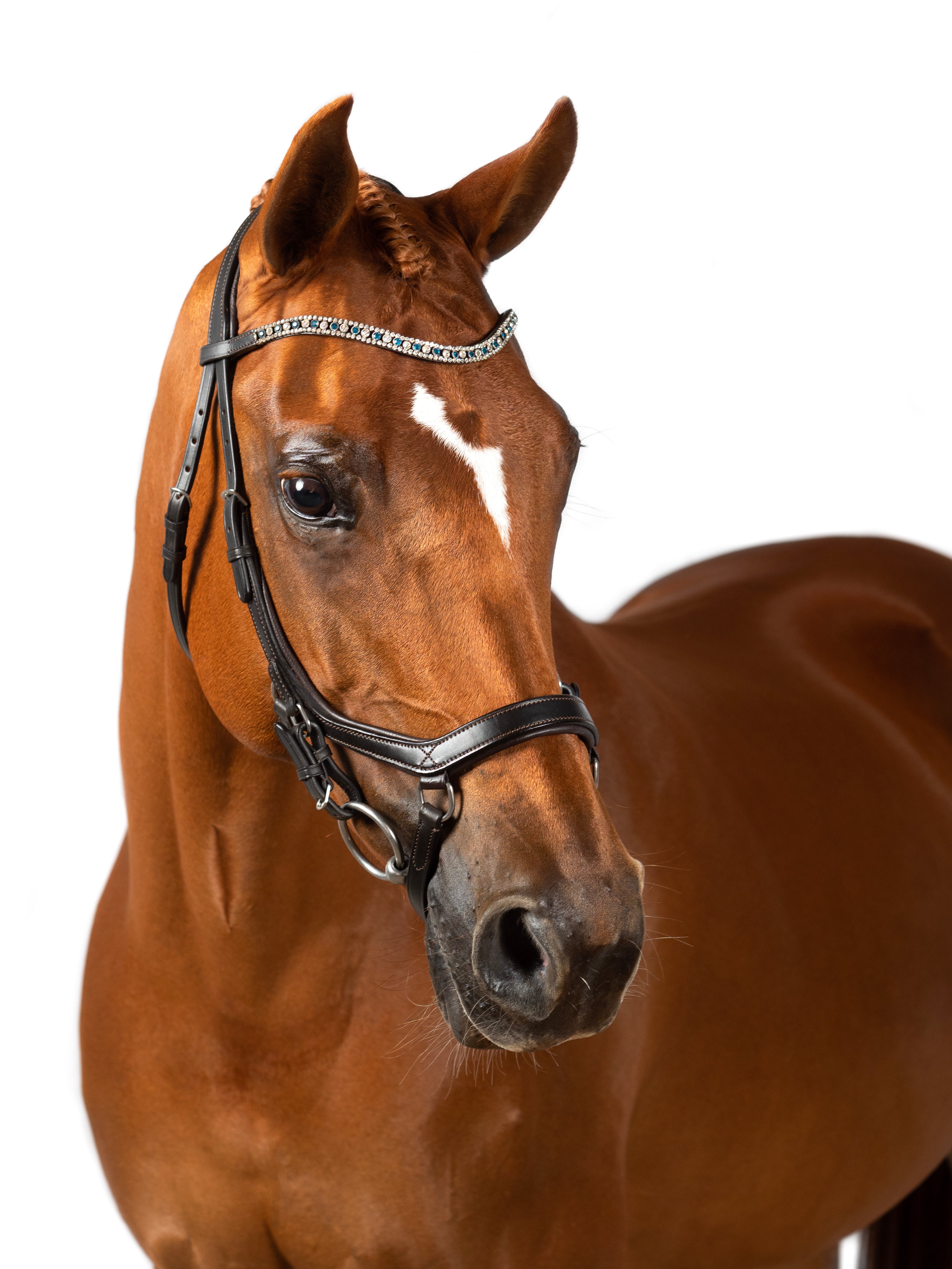 Premium Havana Comfort Bridle ‘Xpedition’