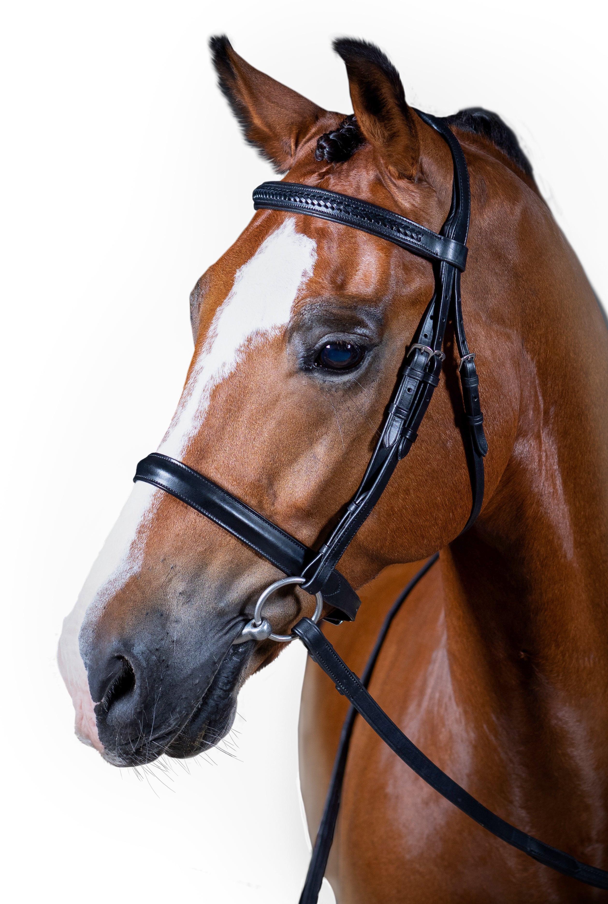 Premium Black Show Snaffle Bridle ‘Taras’