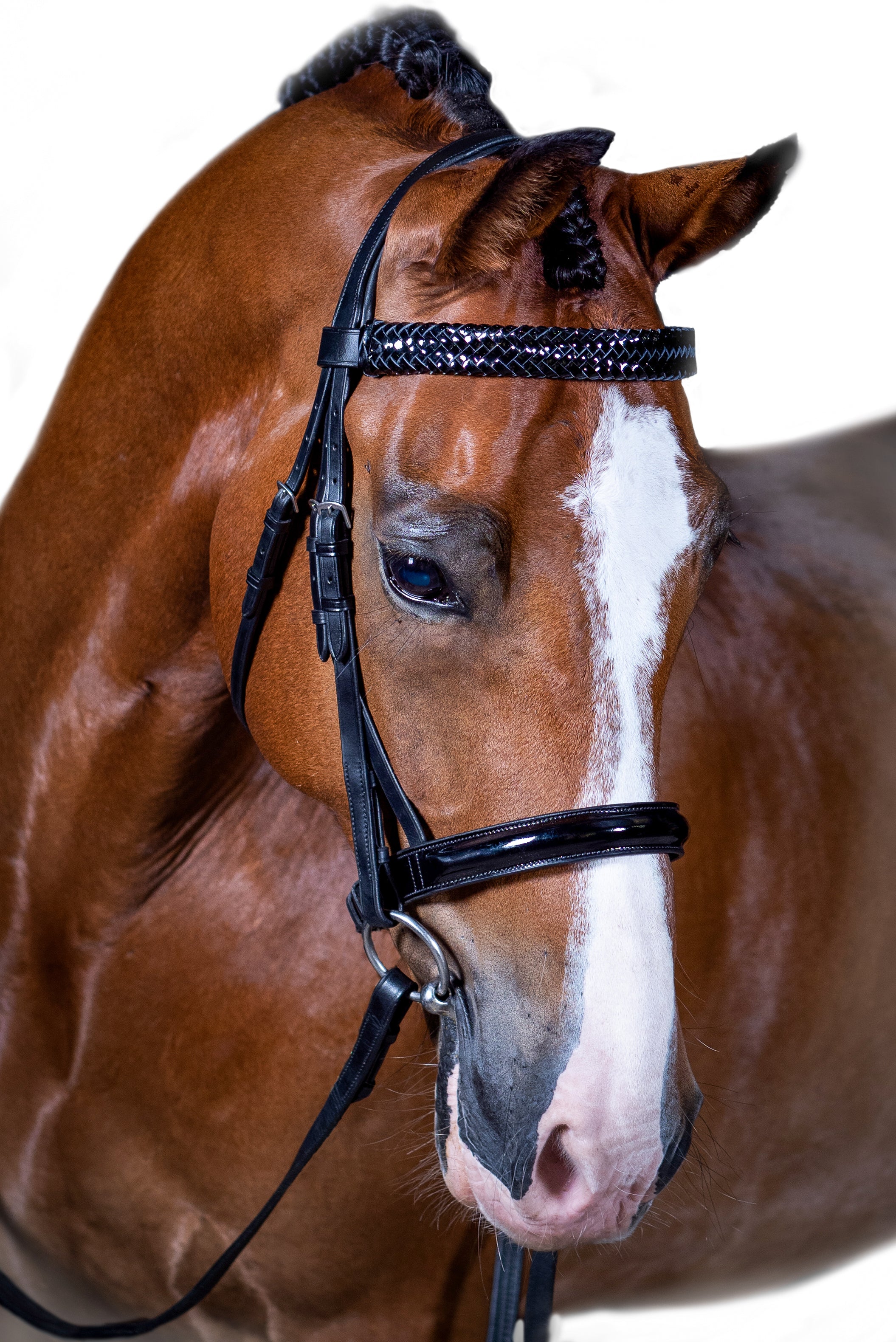 Premium Black Show Snaffle Bridle ‘Majesty’
