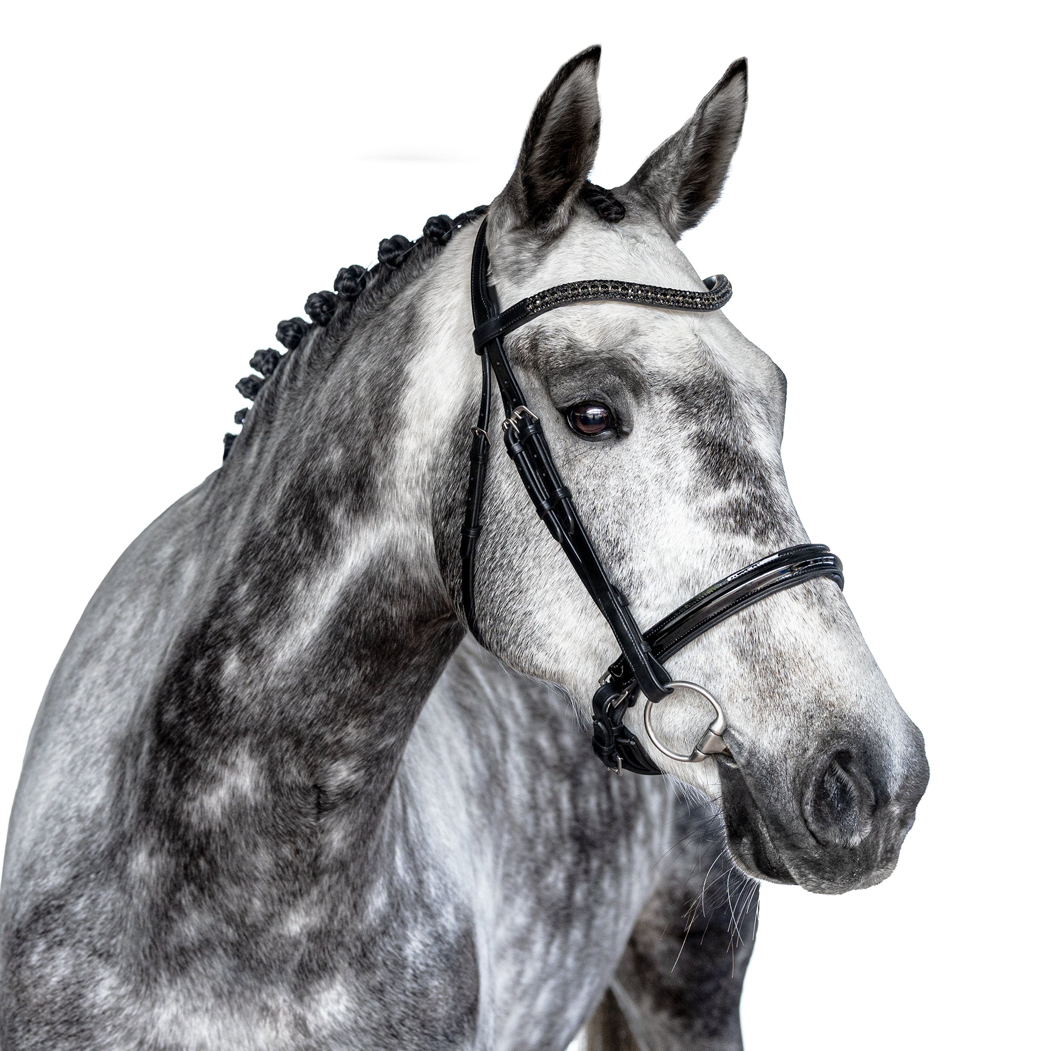 Premium Black Snaffle Bridle ‘Vogue’