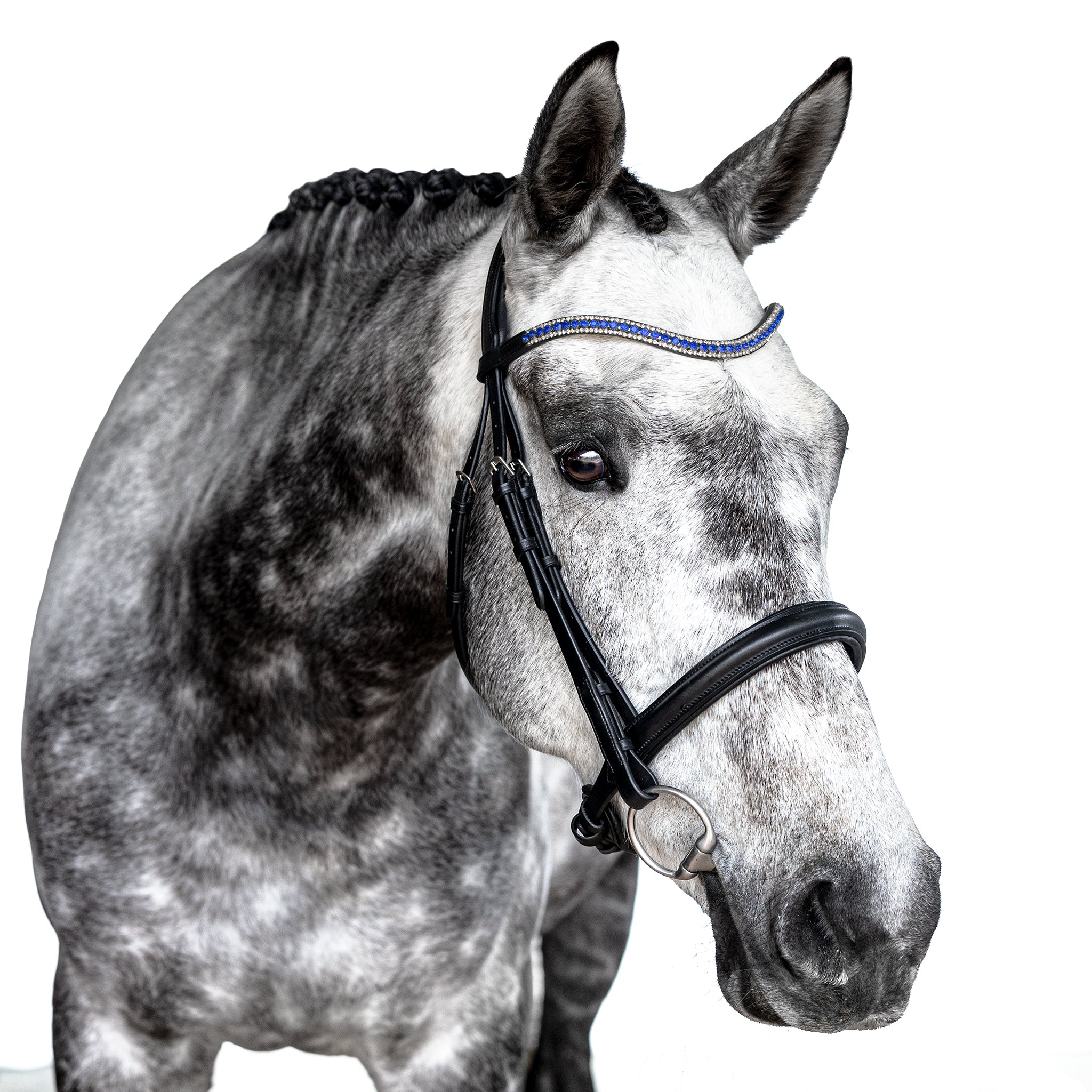 Premium Black Snaffle Bridle ‘Sapphire’