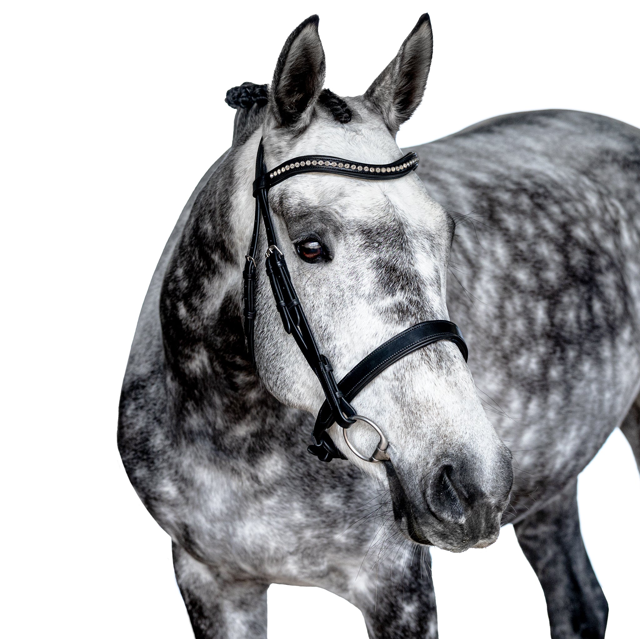 Premium Black Snaffle Bridle ‘Breeze’