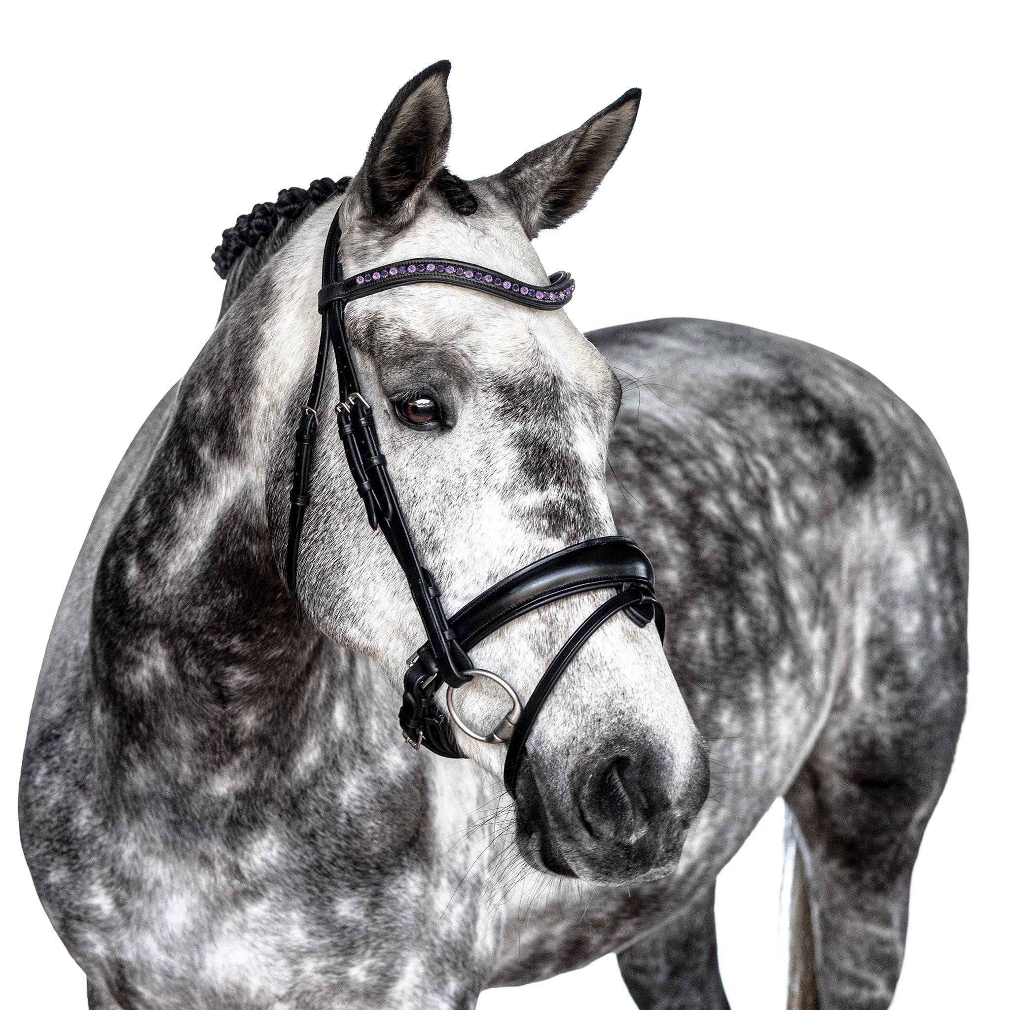 Premium Black Snaffle Bridle ‘Violet’
