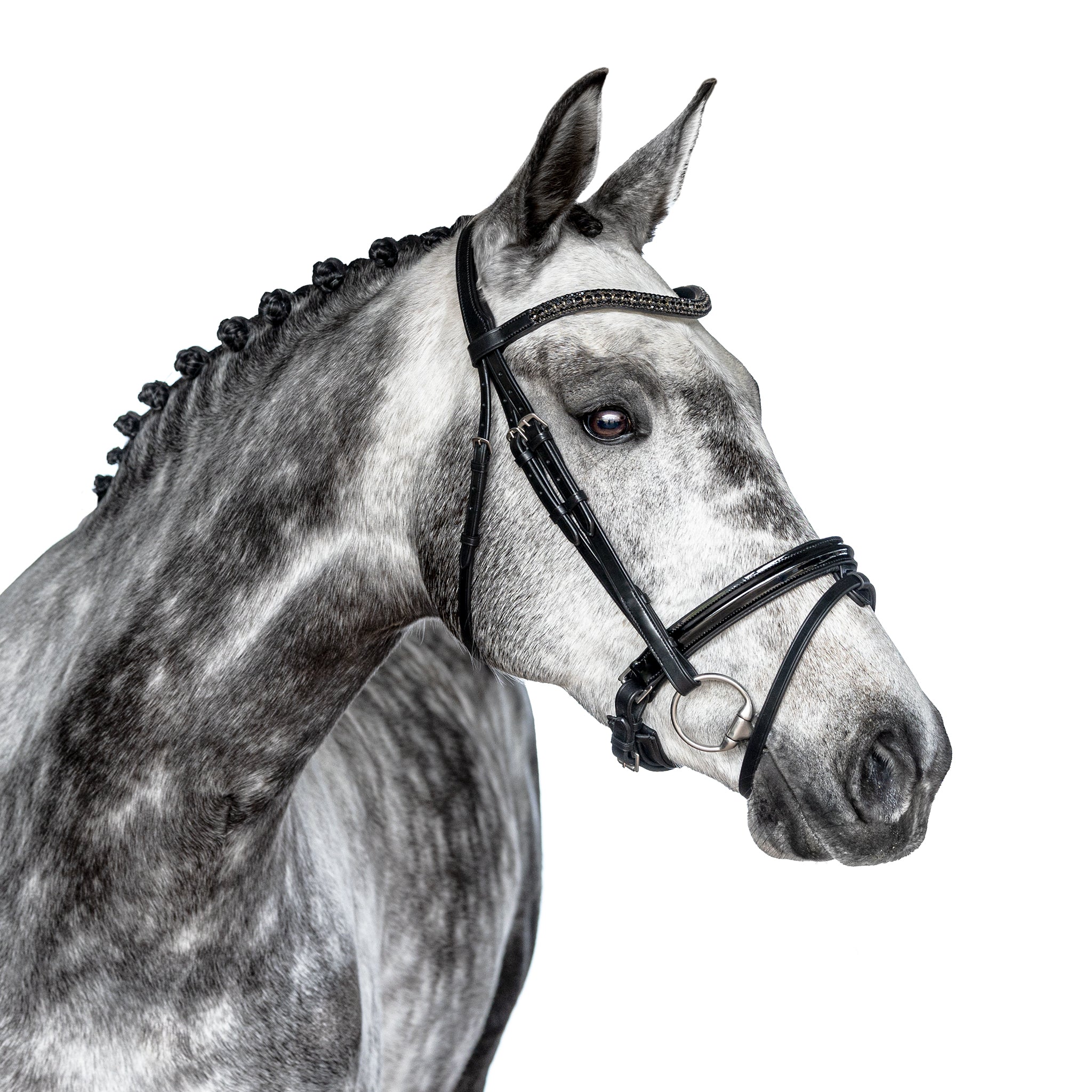 Premium Black Snaffle Bridle ‘Vogue’