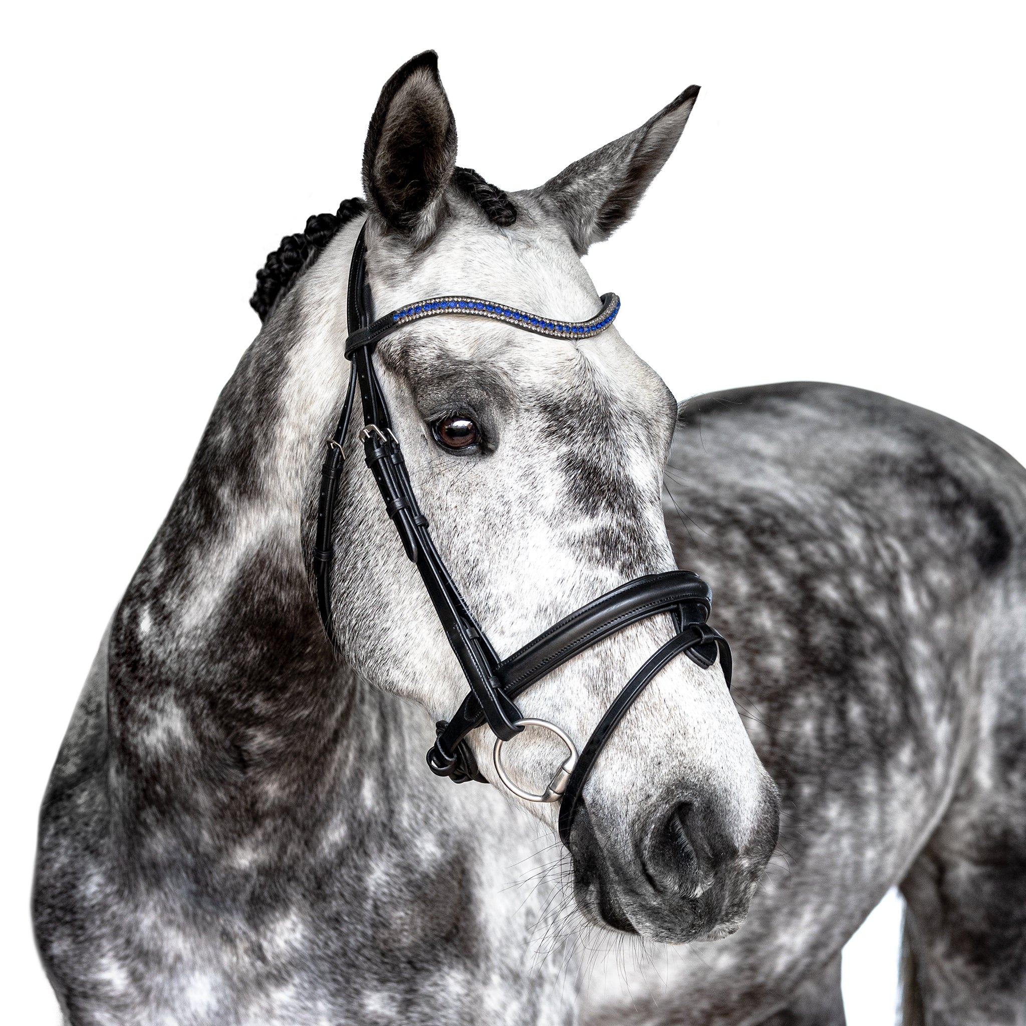 Premium Black Snaffle Bridle ‘Sapphire’