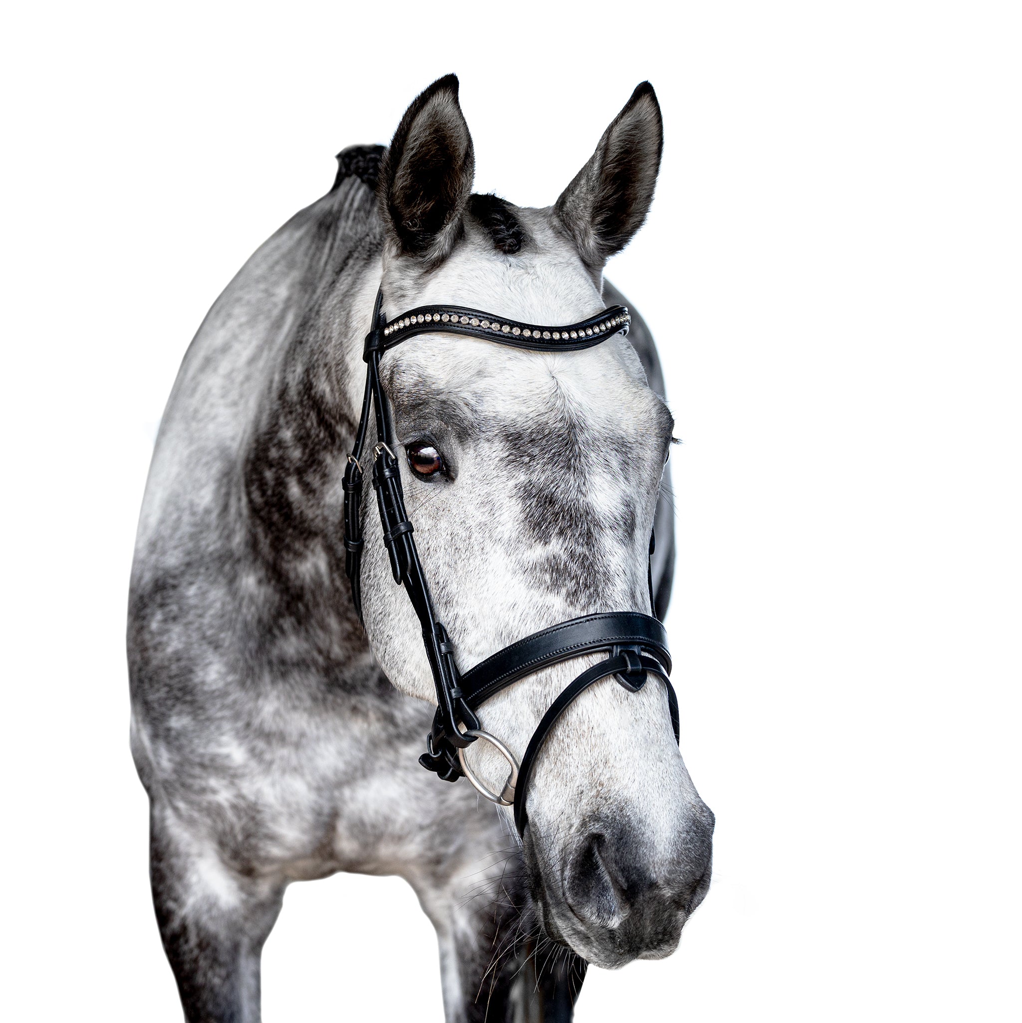 Premium Black Snaffle Bridle ‘Breeze’
