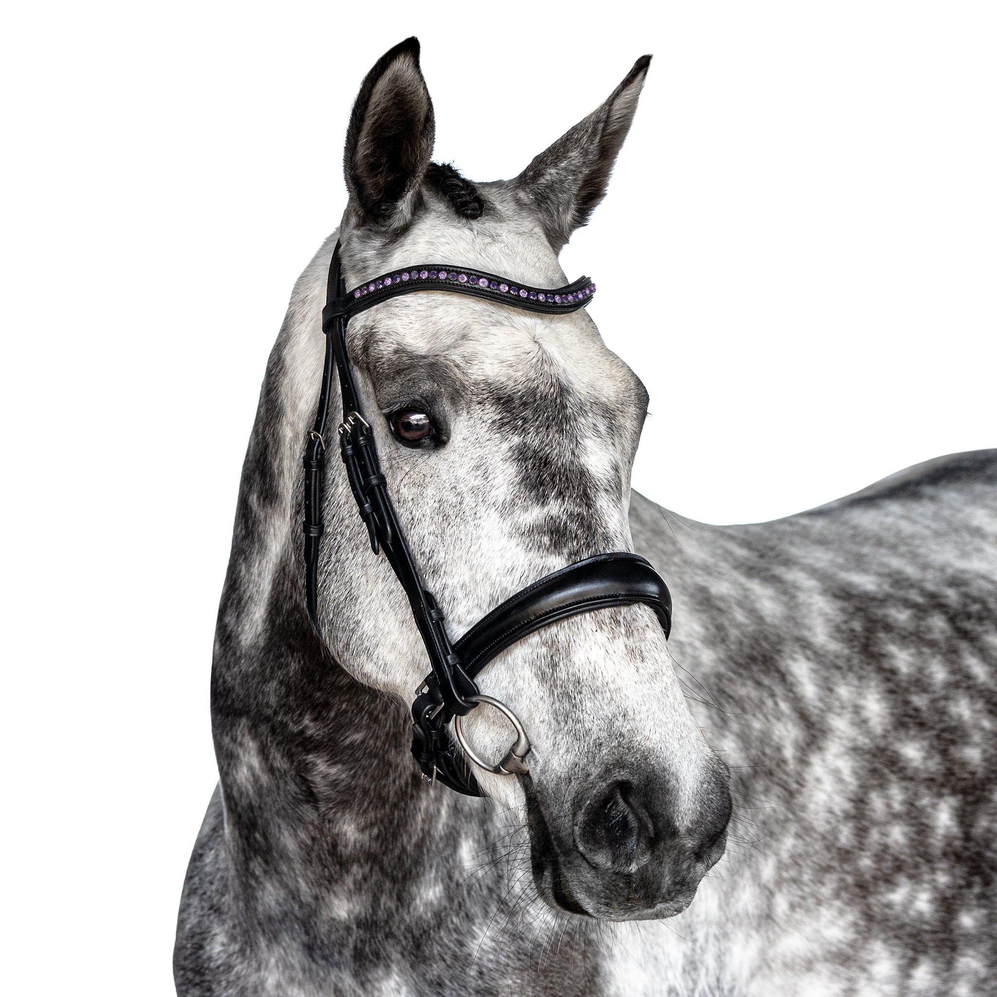 Premium Black Snaffle Bridle ‘Violet’